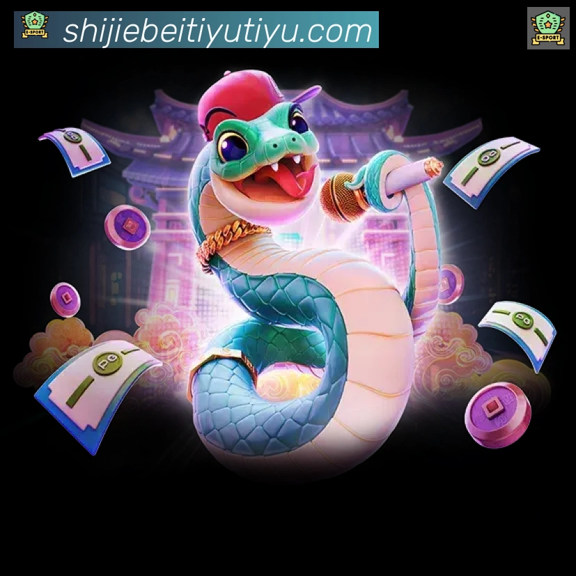 未来规划