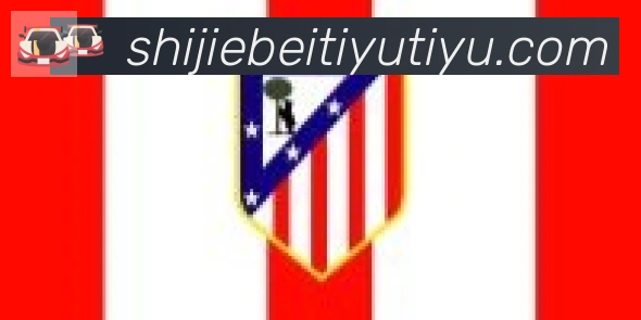 FIFA世界杯买球官方网站合作伙伴